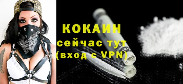 шишки Аркадак