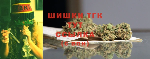 шишки Аркадак