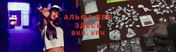 шишки Аркадак