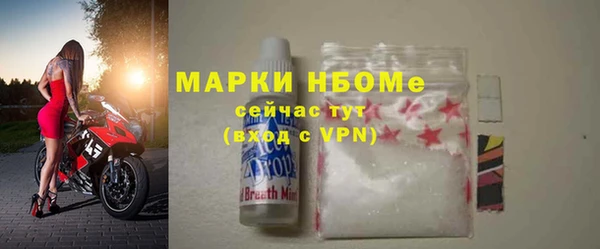 шишки Аркадак