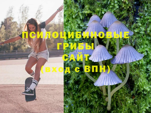 амф Арсеньев